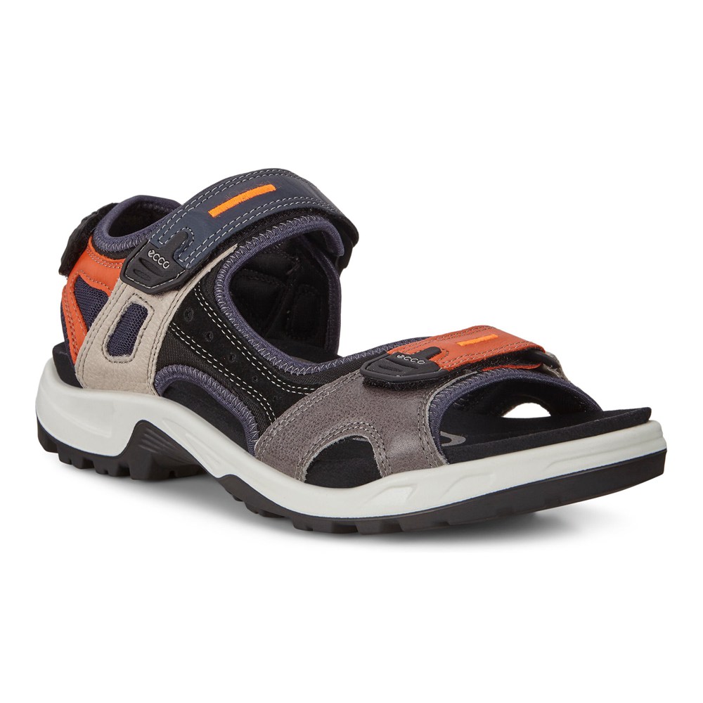 Sandalias Hombre - ECCO Anniversary Yucatan - Multicolor - WYJ024593